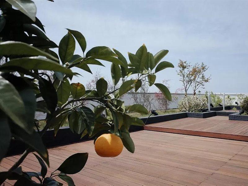 Hi Residences Jeju Extérieur photo